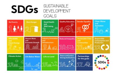What are the UN SDGs?