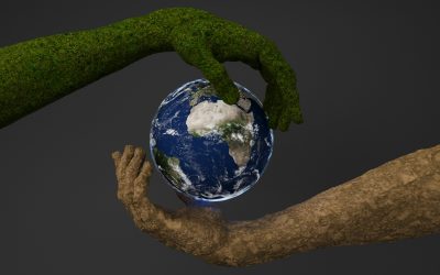 Kingfisher Accelerates Carbon Reductions