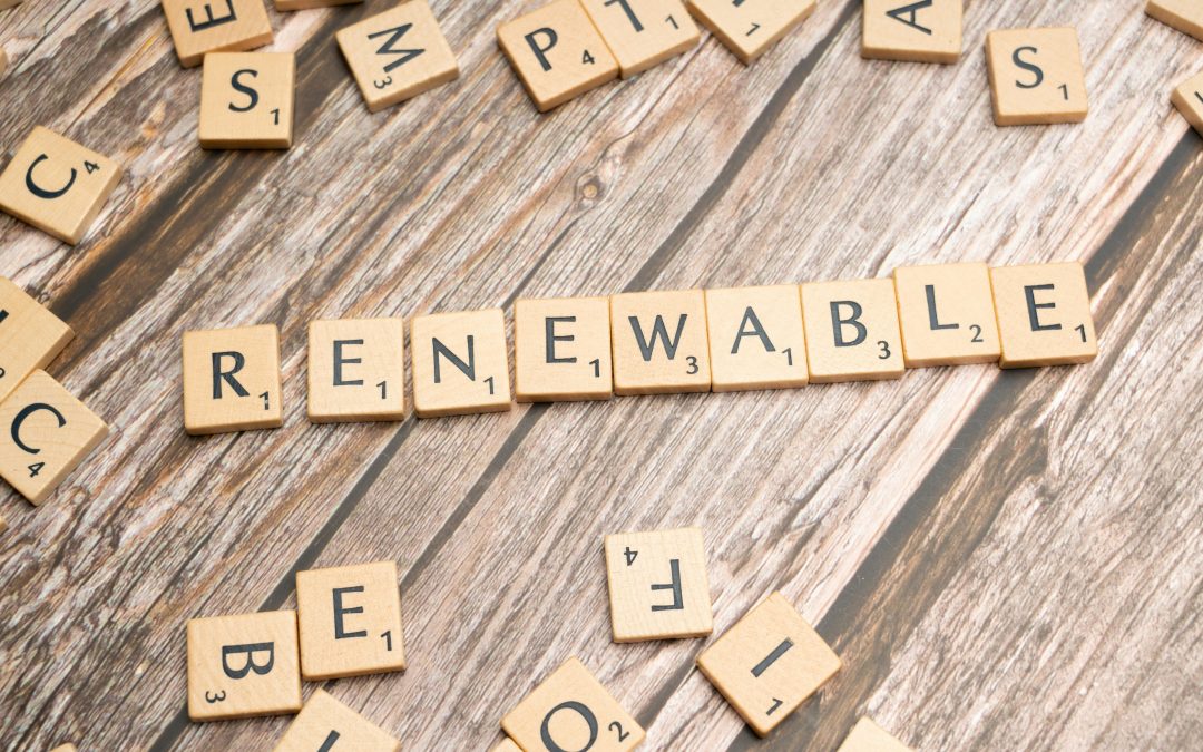 Retail Reset: Lessons from Woolworths