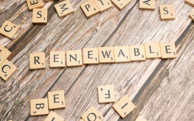 Retail Reset: Lessons from Woolworths