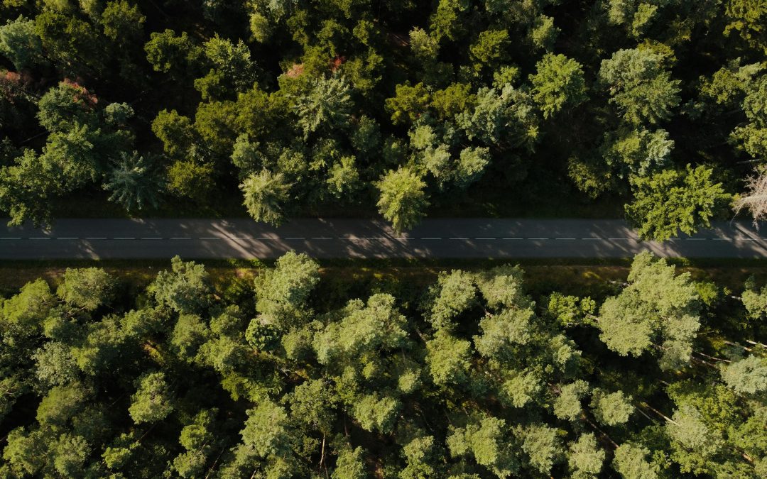 France’s Roadmap to a Low Carbon Future