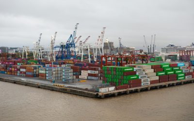 DP World Launches Carbon Insetting