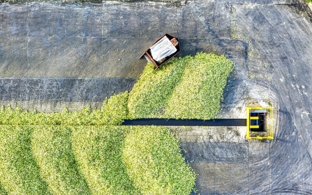 Iran Crisis Reshapes Biofuels