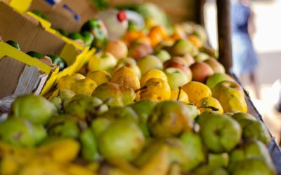 UK-EU Food Deal Set to Boost Trade