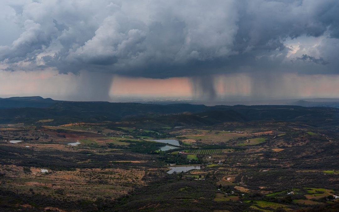 Why El Niño Matters for Business