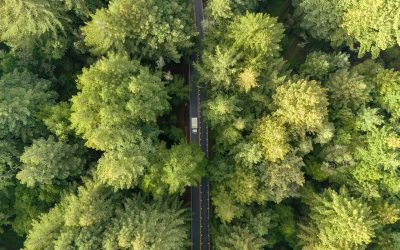 M&S Accelerates Logistics Transition