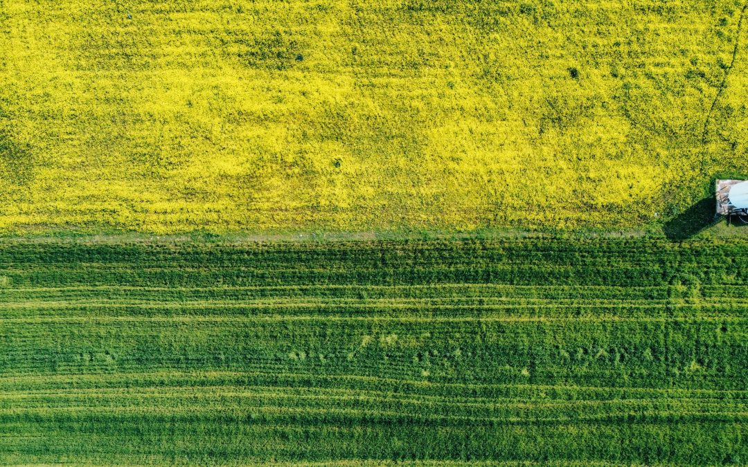 Green Ammonia Targets Farm Emissions
