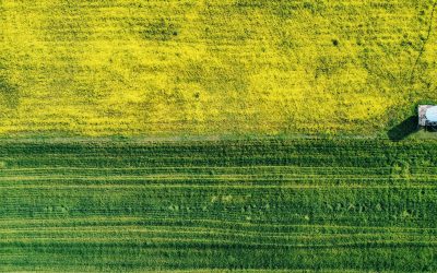 Green Ammonia Targets Farm Emissions